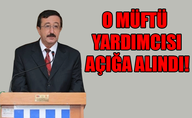 'Atatürk, başkanlık sistemi padişahlıkla eşdeğer olduğu için cumhuriyeti seçti'