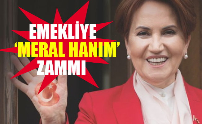 Meral Akşener'den AKP'ye 'Hani hayaldi!'