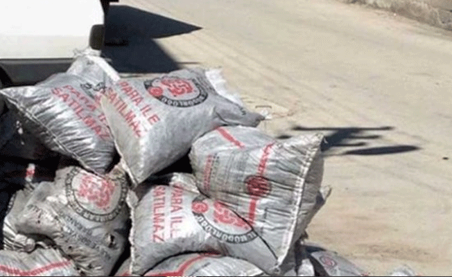 Seçim yatırımlarında bugün: Yaz sıcağında kömür