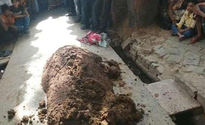 Yılan ısırdı, inek dışkısına gömdüler; öldü