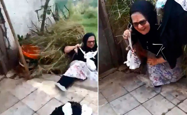 Karadenizli kadının düşme anı sosyal medyayı salladı
