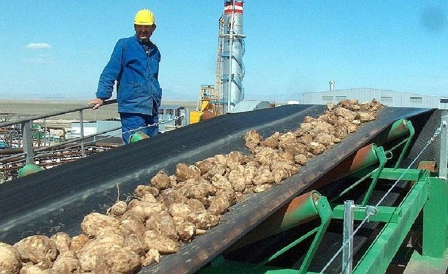Erzurum ve Erzincan’ı şeker fabrikalarını Albayrak Grubu aldı