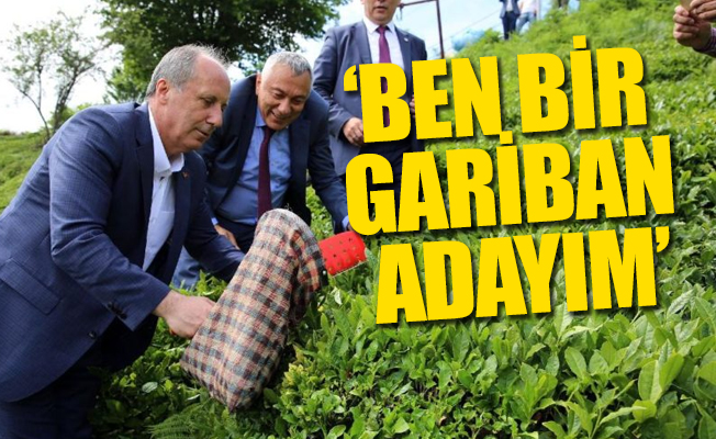 Muharrem İnce Rize’de çay toplarken uyardı