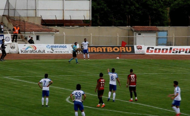 Play-off maçında sahaya giren köpek müsabakayı durdurdu