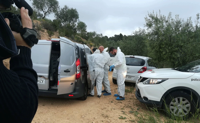 İspanya'da uçak kazası: 3 ölü