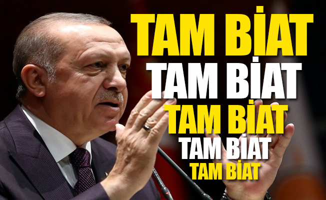 İşte AKP'de Erdoğan'ın istediği vekil tipi... 5 kriter arıyor...