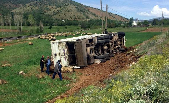 Elazığ'da vahim kaza: 6 yaralı, 100 koyun telef oldu
