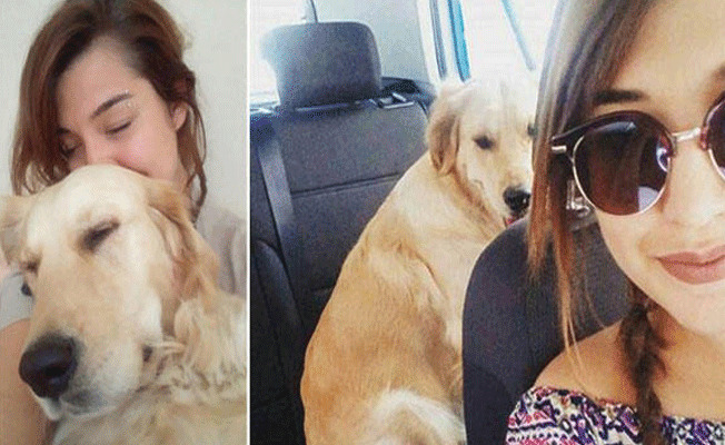 Ayrılan sevgililer köpek için mahkemelik oldu!