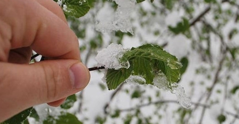 Meteoroloji'den 5 il için don uyarısı