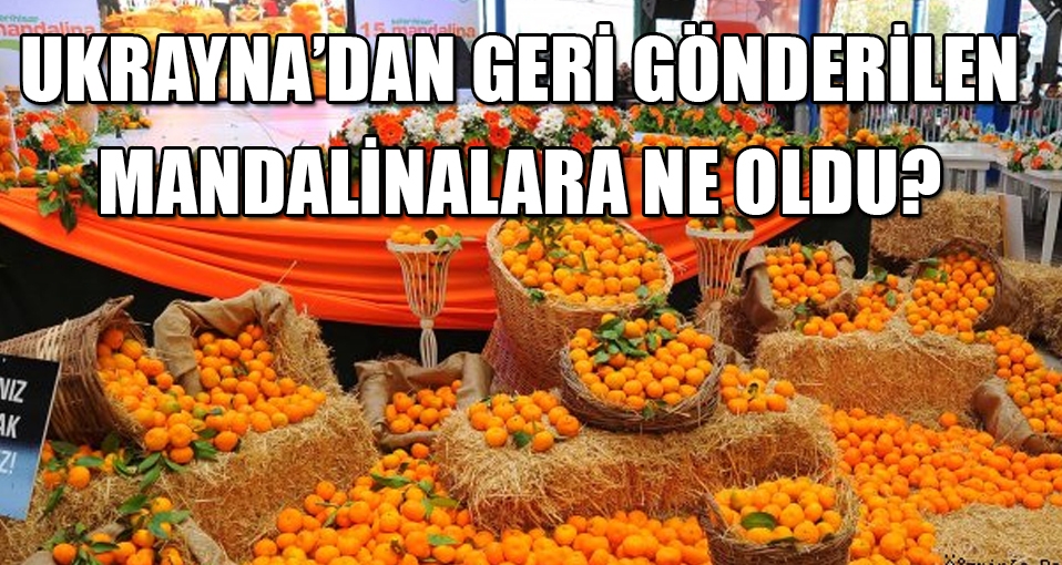 Ukrayna'dan geri gönderilen 29 ton mandalinaya ne oldu?