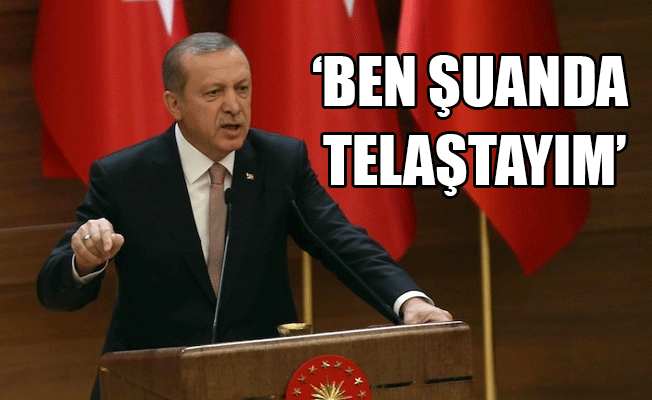 Erdoğan’dan genç milletvekili adayı açıklaması