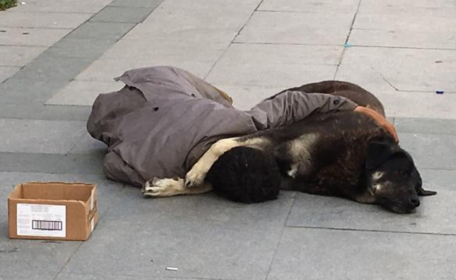 Bu fotoğraf yürekleri sızlattı...