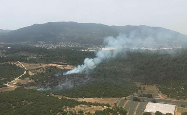 Menderes’te orman yangını