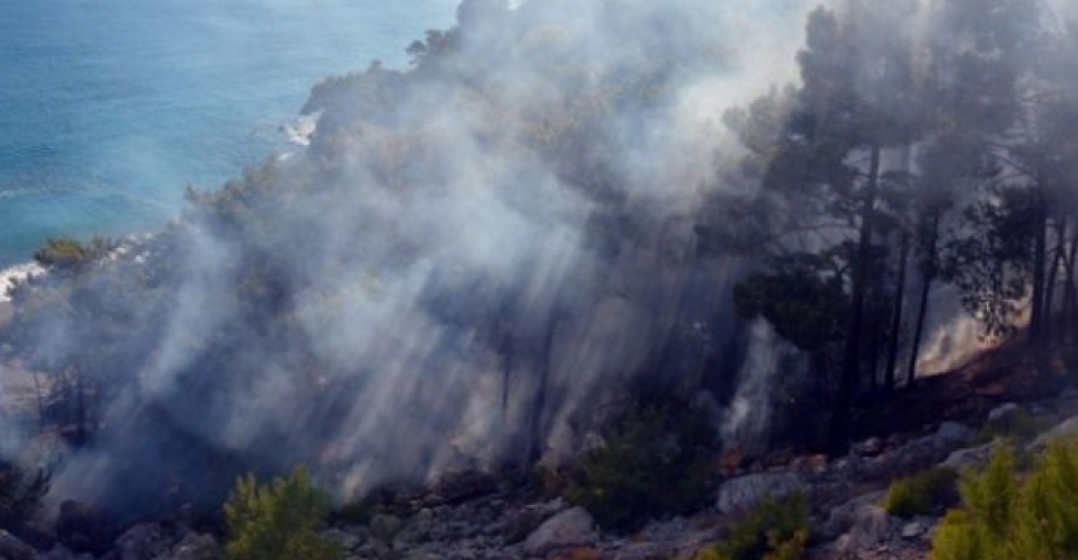 Antalya'da orman yangını
