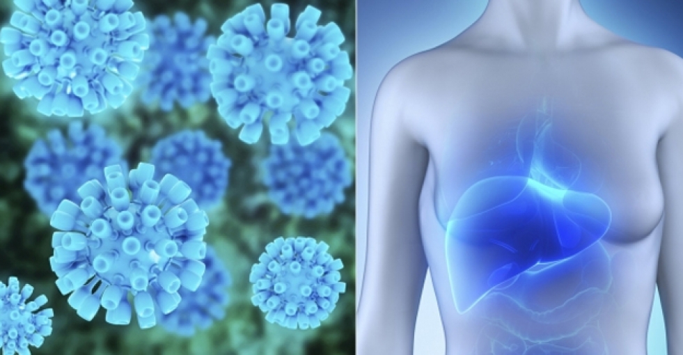 Enerji içeceğinde hepatit riski