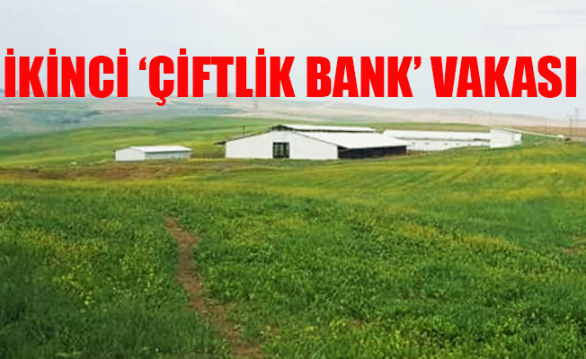MASAK devreye girdi.. Hesaplar bloke edildi