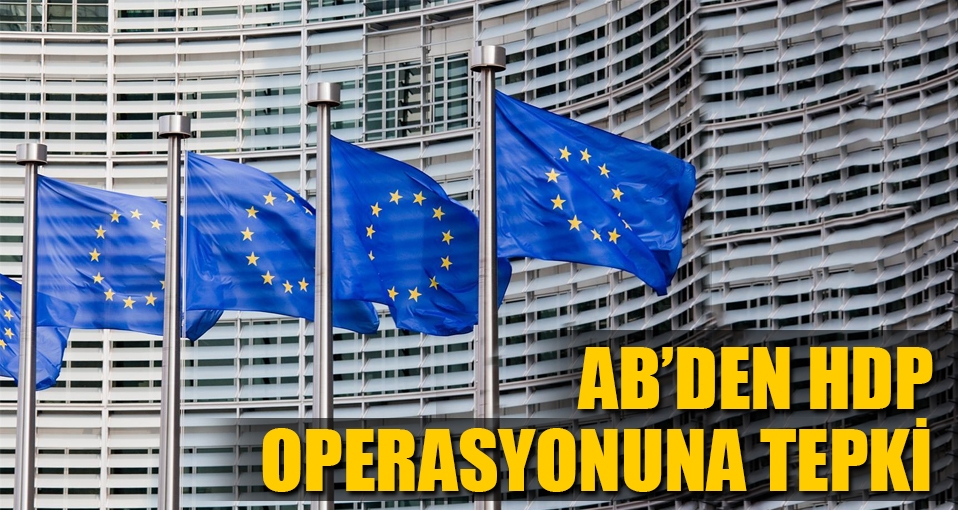 Avrupa'dan HDP operasyonuna tepki