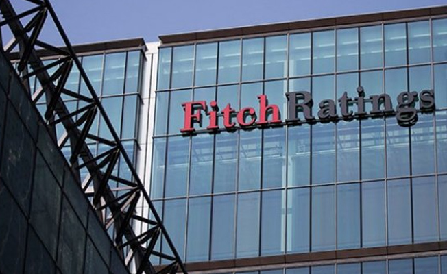 Fitch'ten bir uyarı daha