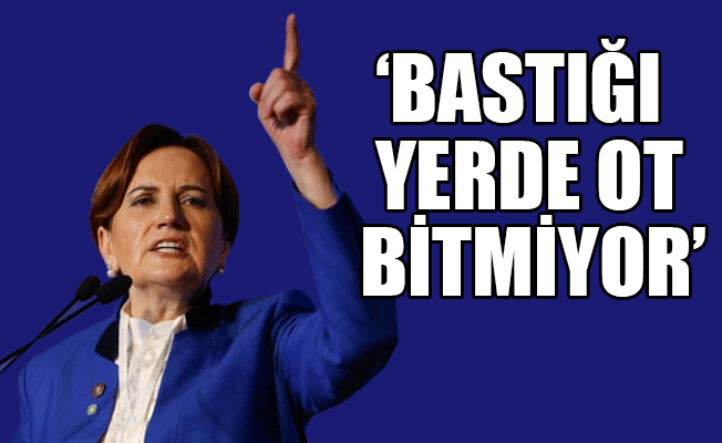 Akşener: TRT'yi satıp parasını size vereceğim