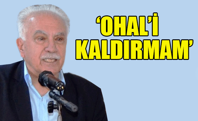 Perinçek: Kürt sorunu silahla çözülür