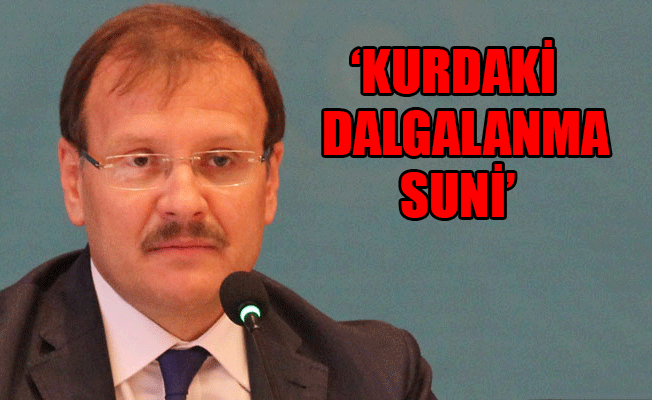 Başbakan Yardımcısı Çavuşoğlu’ndan dolar açıklaması!