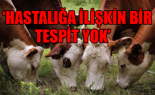 Bakanlıktan ‘deli dana hastalığı’ iddialarına ilişkin açıklama