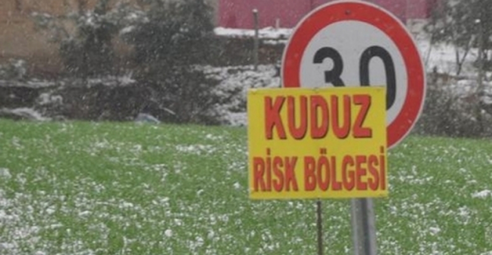 Denizli'de 5 mahallede kuduz karantinası