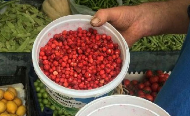 Dağ çileğinin kilosu 100 lira