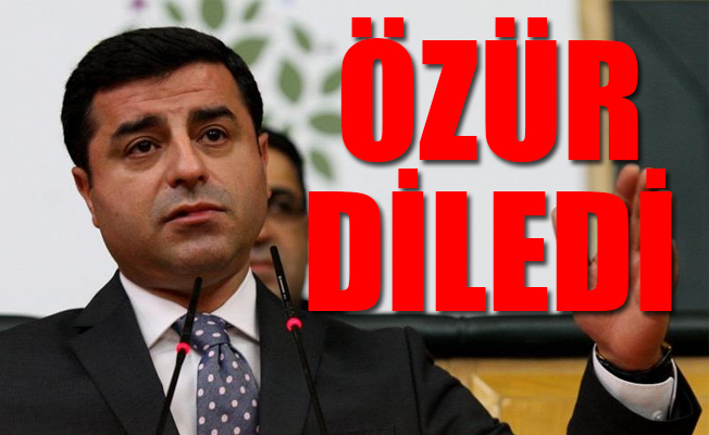 HDP'li vekilden Selahattin Demirtaş skandalı