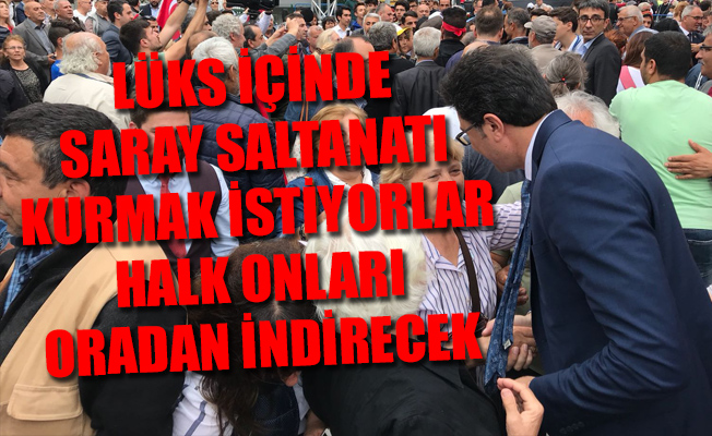 CHP'li vekil adayı hızlı başladı, sokak sokak geziyor...