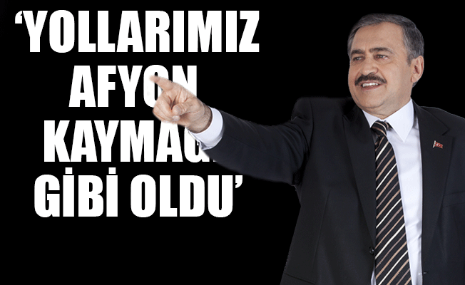 Bakan Eroğlu: Bizi erken seçime mecbur bıraktılar
