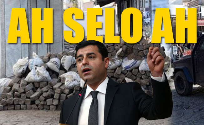 Selahattin Demirtaş'tan 'hendek' özeleştirisi
