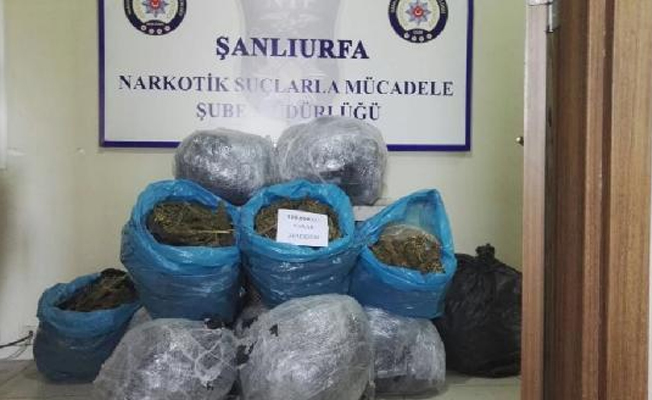 Minibüs esrar yuvasına dönüşmüş... 121 kilo...