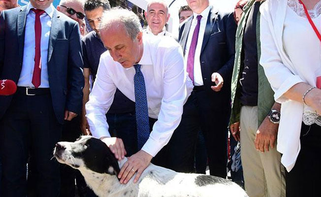 İnce, hayvan haklarını koruma taahhütnamesine imza attı