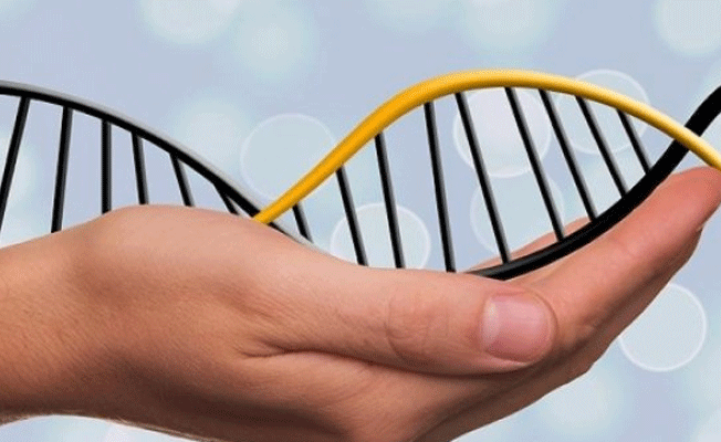 DNA robotlarının kontrolü için yeni sistem geliştirildi