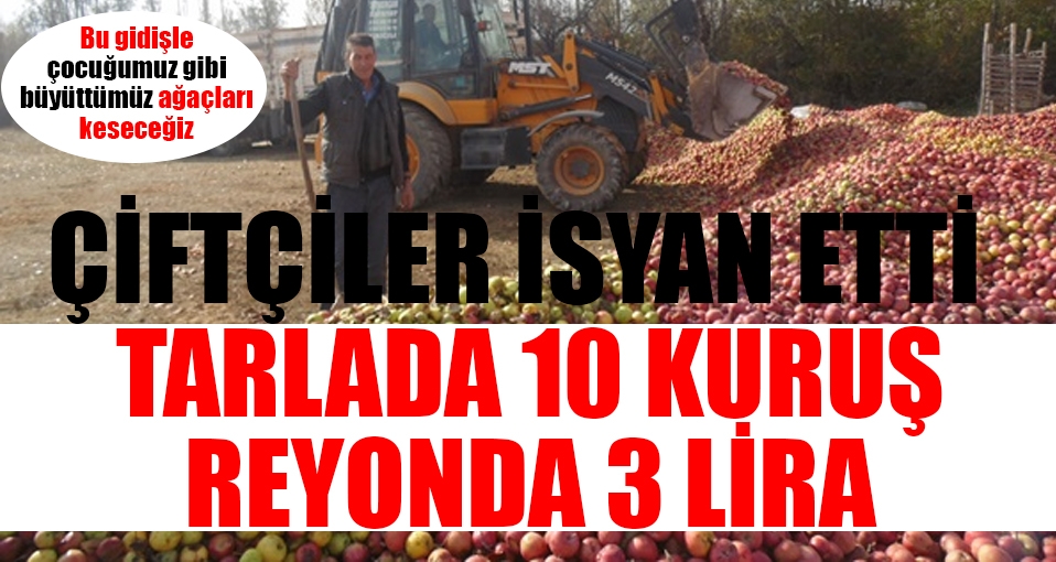 Elma üreticisi çiftçiler isyan etti