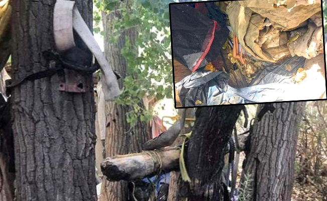 Pedofili kampı bulundu! Çocuklara burada cehennemi yaşattılar