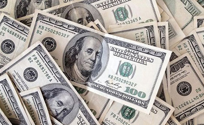 Mayıs'ta dolara yatıran kazandı