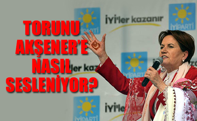 Meral Akşener seçilirse başkan yardımcısı Selahattin Demirtaş mı olacak?