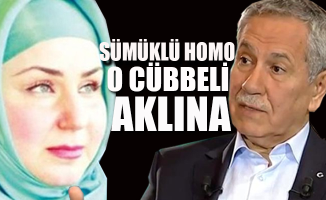 Akit yazarından Arınç'a zehir zemberek sözler..