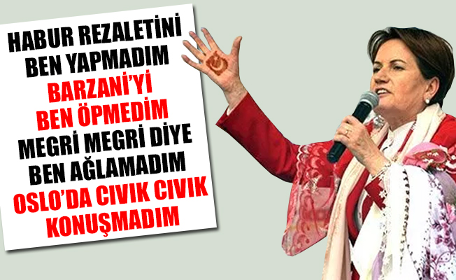 Meral Akşener o soruya sert yanıt verdi