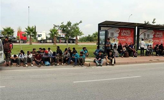 Afgan sığınmacıları Ankara diye Adana'ya bıraktılar