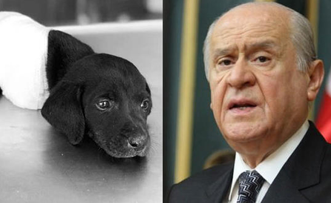 Bahçeli: Bu haber şahsımı çok sarstı, yüreğimi sızlattı... 