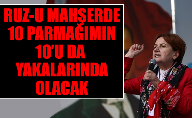 Meral Akşener'den bomba iddia... 'Bu millete domuz yedirdiler'
