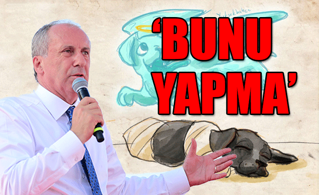 'Erdoğan kindar nesil istiyorum dersen köpek yavrusunun bacaklarını keserler'