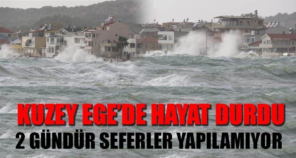 Kuzey Ege'de hayat durdu