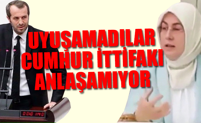 MHP'li vekil'den, AKP'li vekil adayına 'en sert' kınama