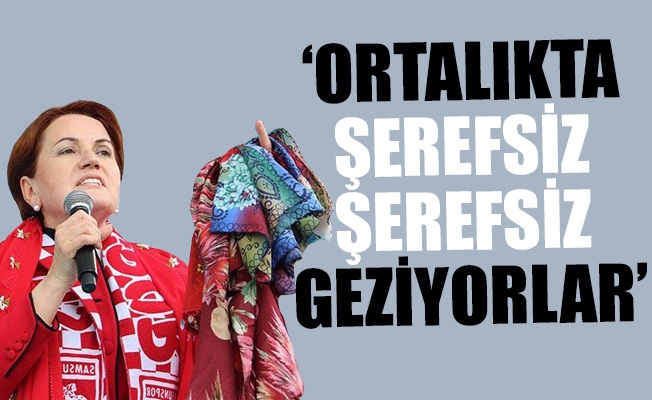 Meral Akşener mitingini yarıda kesti