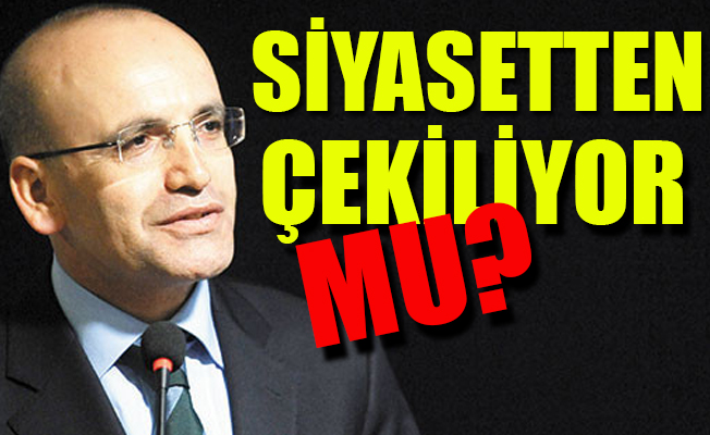 Mehmet Şimşek: Eminim hatalarım vardır!
