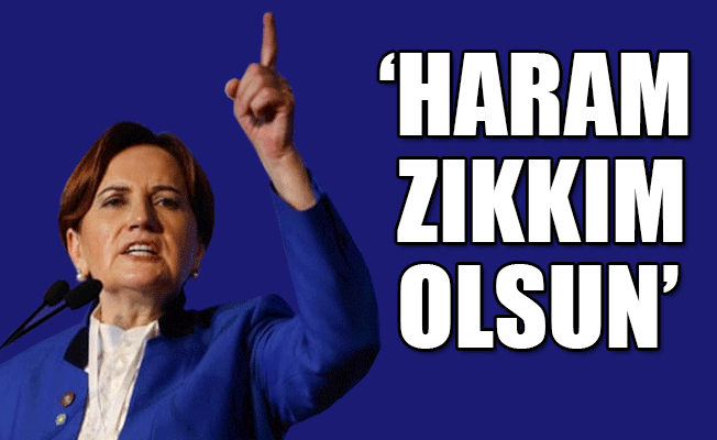 Akşener: Bu ülkeyi koşturacağız